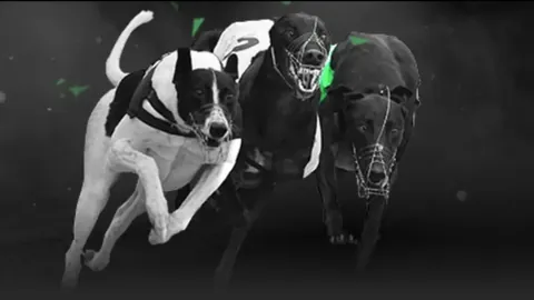 佩德里单赛季助攻数突破7次，创下新高。