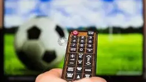 “迈阿密WTA公开赛首轮：袁悦、王欣瑜、王曦雨顺利挺进下一轮”